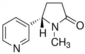 C-016-medium.avif.jpg C-016-medium.avif.jpg